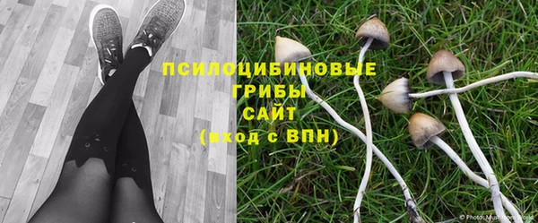 меф Дмитров